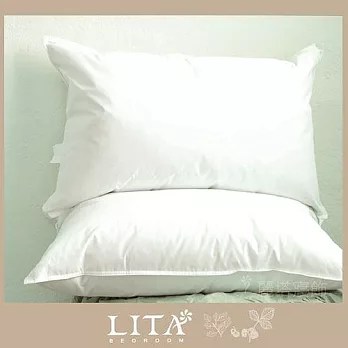 【LITA麗塔】台灣製 20/80優質天然羽絨枕(1.5KG)(2入)