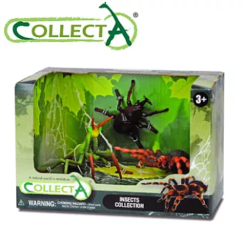 【CollectA】昆蟲組3pcs(891323)