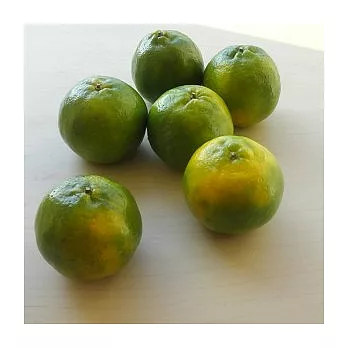 【食在安市集】耕好:古坑椪柑10斤