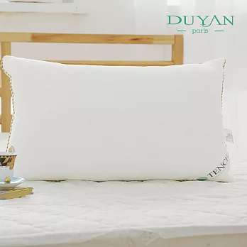 【DUYAN竹漾】奧地利TENCEL天絲兩用枕(2入)