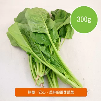 【陽光市集】陽光農業-菠菜(300g/包)