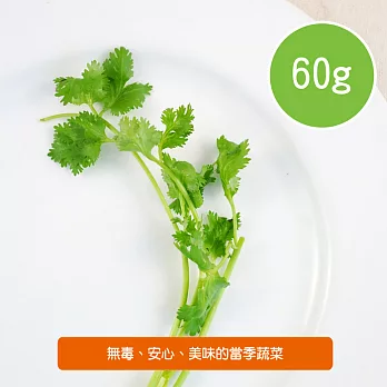 【陽光市集】陽光農業-香菜(60g/包)