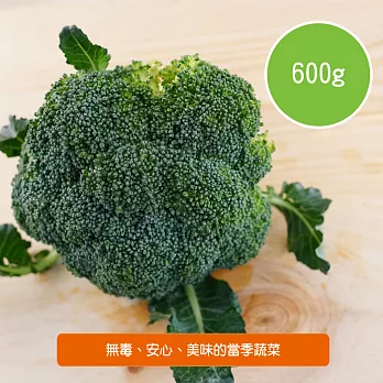 【陽光市集】陽光農業-青花菜(600g/包)
