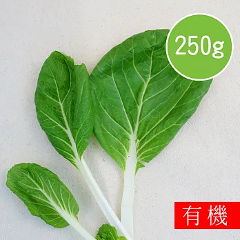 【陽光市集】花蓮好物-奶油白菜(250g)