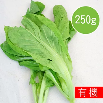【陽光市集】花蓮好物-有機芥菜(250g)