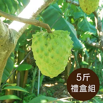 【食在安市集】台東ㄚ揚:有機鳳梨釋迦5斤禮盒組(預購)