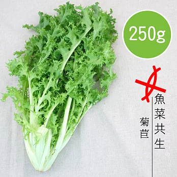 【陽光市集】魚菜共生-菊苣(250g)
