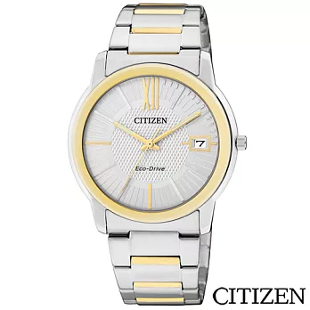 CITIZEN星辰 光動能簡潔金色時光時尚腕錶 FE6014-59A