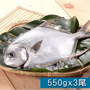 【食在安市集】恆春海洋：海金鯧3尾組(550g/尾)