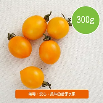 【陽光市集】黃金蕃茄(300g)
