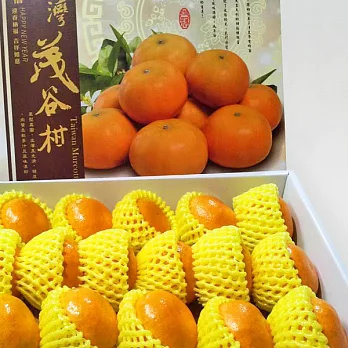 【食在安市集】雲林茂谷柑5斤禮盒(25A級)
