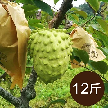 【食在安市集】台東ㄚ揚:自然農法無毒鳳梨釋迦12斤家庭組