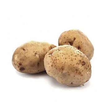 【食在安市集】鋐洲:有機馬鈴薯600g*5包