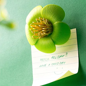 QUALY 山茶花 - 迴紋針組(綠色)