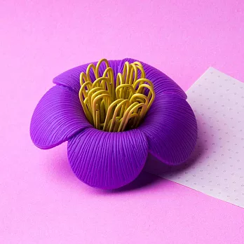 QUALY 山茶花 - 迴紋針組(紫色)