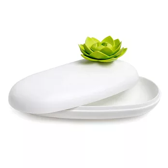 QUALY 石上蓮花-置物盒(白+綠)