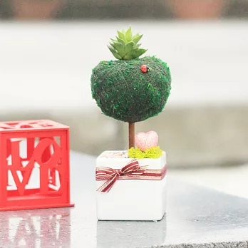 【迎光】心形幸福苔樹白色