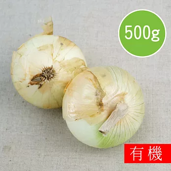 【陽光市集】花蓮好物-有機本土洋蔥(500g)