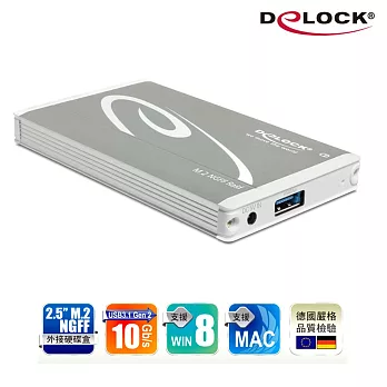Delock 2.5吋 M.2 NGFF固態硬碟外接盒USB 3.1 Gen2-42553