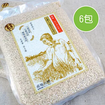 【陽光市集】農糧小鋪-自然農法台南14-糙米(2kgx6包)