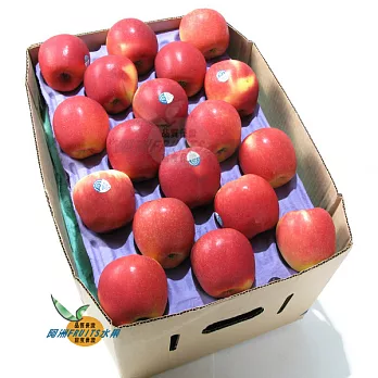 《阿洲水果》 紐西蘭微風蘋果(30-35粒隨機出貨)