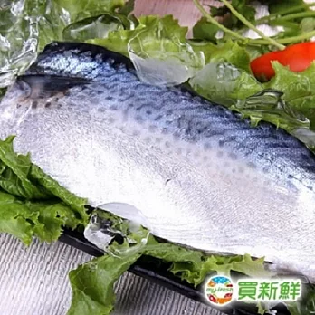 【買新鮮】省產鯖魚一夜干130g±10%X10片(免運)