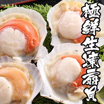 【海鮮王】極鮮生凍扇貝 *4包組( 500g±10%/包 )( 6顆/包 )