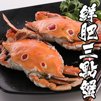 【海鮮王】精選鮮肥三點蟹 *8隻( 300g±10%/隻 )