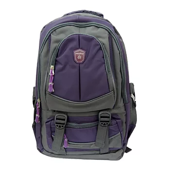 SPORT 運動登山用後背包 V-B01 (紫色 綠色)紫色