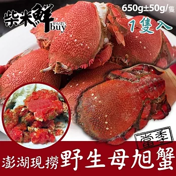 【柴米鮮BUY】澎湖現撈野生母旭蟹(650g/隻)X1隻