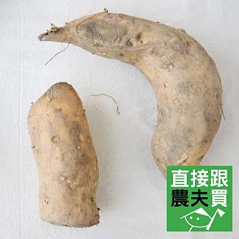 直接跟農夫買- 謝謝米的地瓜(惜福版)(有機轉型期-黃肉地瓜8公斤)