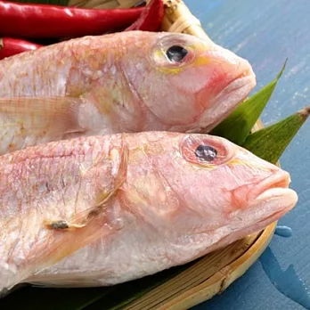 【上野物產】野生金線魚，共15隻(120g~150g/隻)
