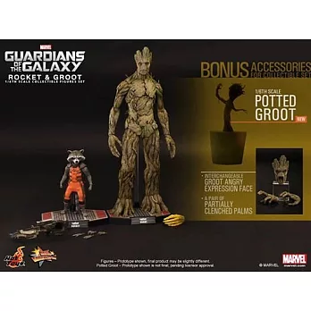 代理 HotToys MMS254 星際異攻隊 火箭 & 樹人格魯特 雙入收藏組