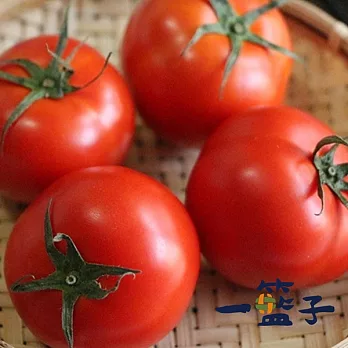 預購《一籃子》新社牛番茄5斤