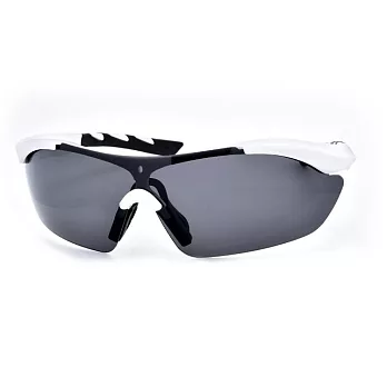 TX 戶外運動(自行車/登山/慢跑) 抗UV紫外線 偏光太陽眼鏡 2150 極地白/專業灰片