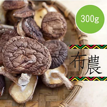 【陽光市集】布農部落-段木乾香菇(大/300g)