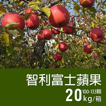 【優鮮配】智利富士蘋果100-133顆/20kg