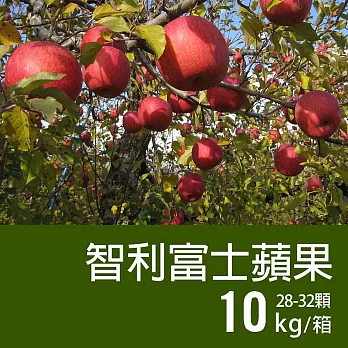 【優鮮配】智利富士蘋果28-32顆/10kg
