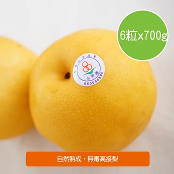 【陽光市集】龍安果園-頂級無毒高接梨(6粒x700g) ★產銷履歷認證,8/12(五)陸續出貨★