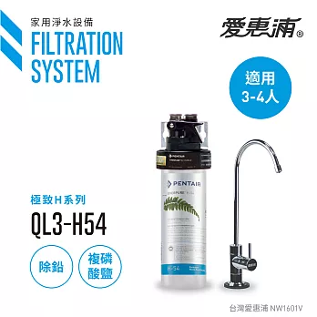 【愛惠浦公司貨】EVERPURE 除鉛雙效精緻型淨水器(QL3-H54)