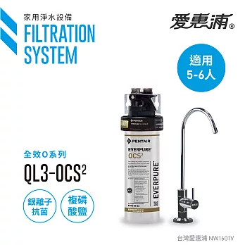 【愛惠浦公司貨】EVERPURE 銀離子抑垢家用型淨水器(QL3-OCS2)