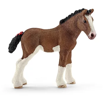 Schleich 史萊奇 - 褐色小馬