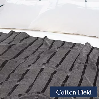 棉花田【晶彩】超細纖維超柔亮絲隨意毯-晶亮灰(130x170cm)