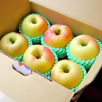 【鮮果日誌】日本青森群馬名月蘋果(6入裝)