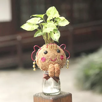【迎光】好神苔球-平安媽祖