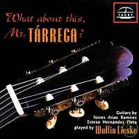 What About This, Mr. Tarrega ? / Wulfin Lieske, Guitar