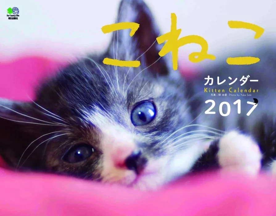 Kitten小貓2017年月曆