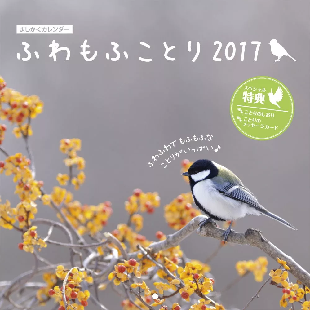 毛茸茸可愛小鳥2017年月曆