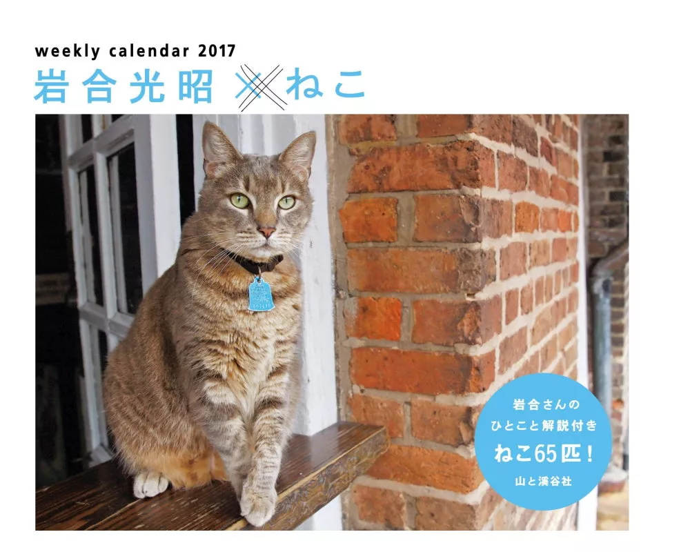 岩合光昭ｘ貓咪2017年桌上型週曆