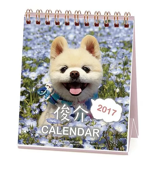 TWITTER人氣犬俊介2017年迷你週曆 (54張)